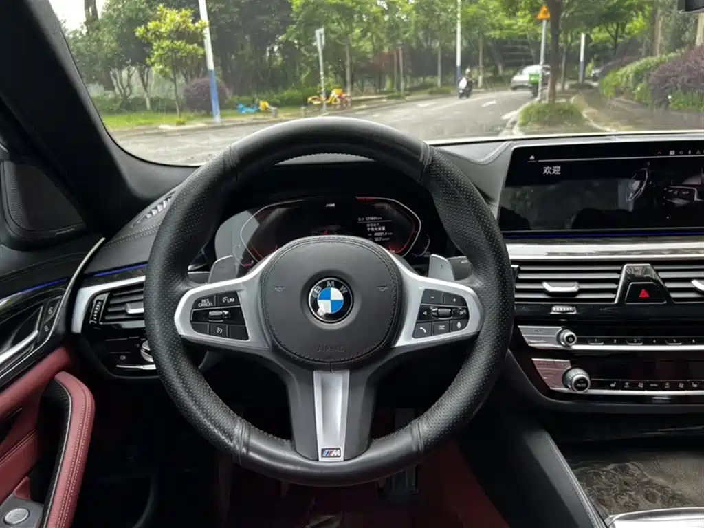 BMW 5 Series 2020 530Li Leading M Sport Package фото 19