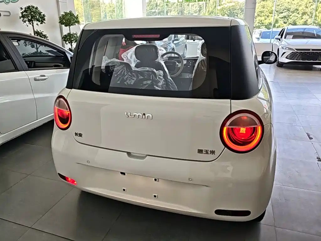 Фото 6 - Changan Lumin