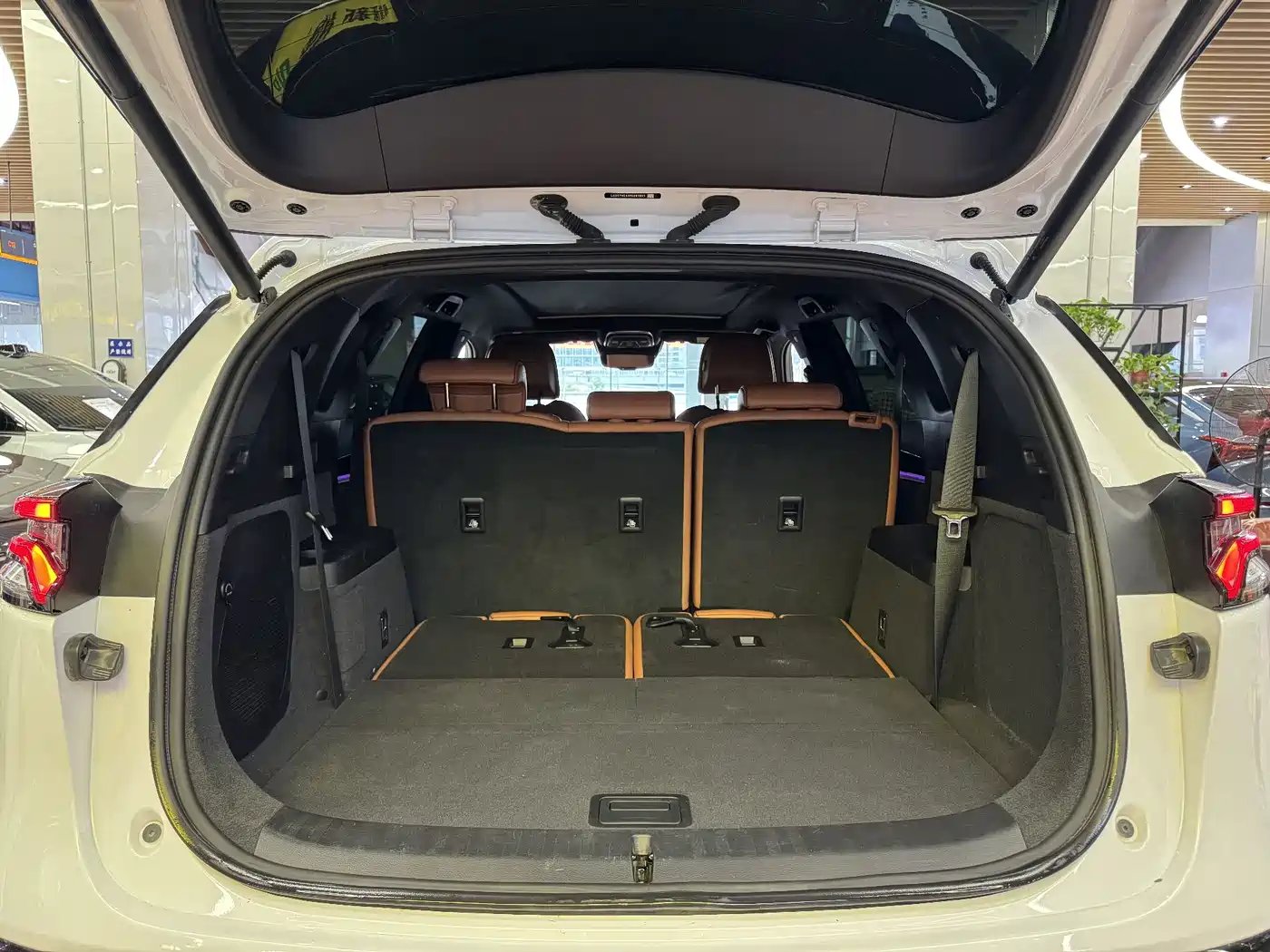 BYD Tang New Energy 2024 2023 Model DM-i Champion Edition 112KM Premium
