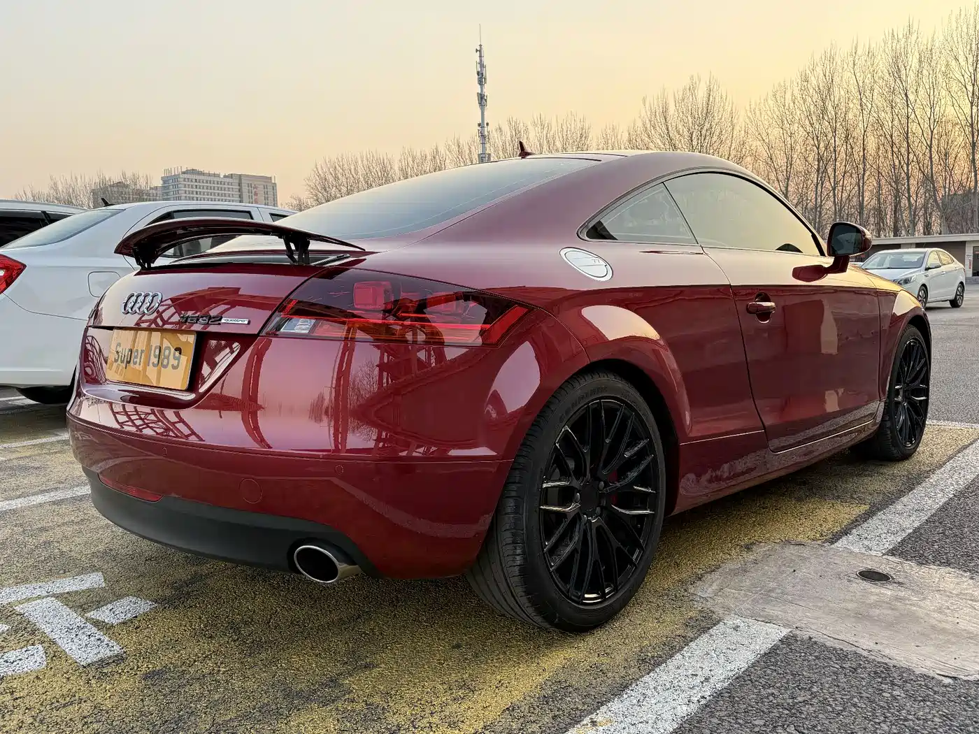Audi TT 2008 Model TT 3.2 Quattro фото 6