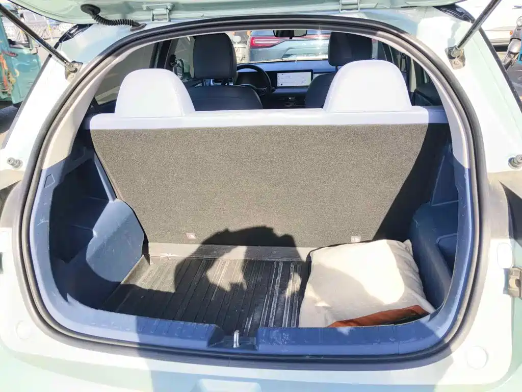 Geely Geometry E Firefly 2022 2022 401KM Delicate Tiger 4-seater