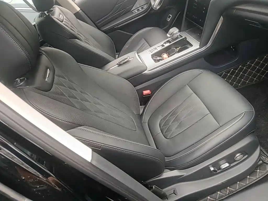Photo 25 - Hongqi HS7 PHEV
