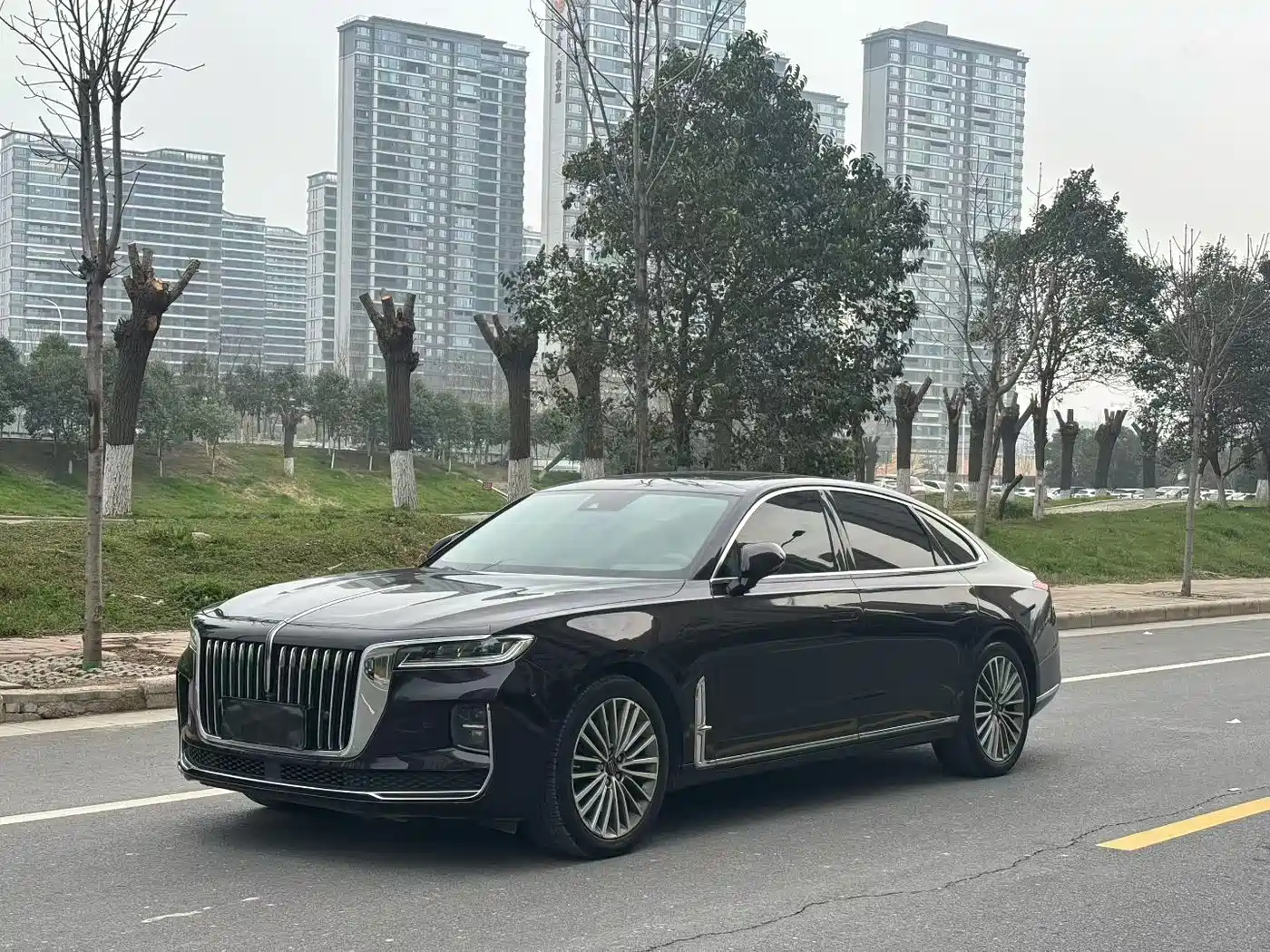 Hongqi HONGQI H9