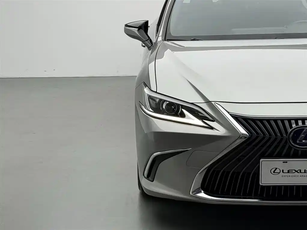 Lexus ES 2020 Model 300h Excellence Edition China V фото 14