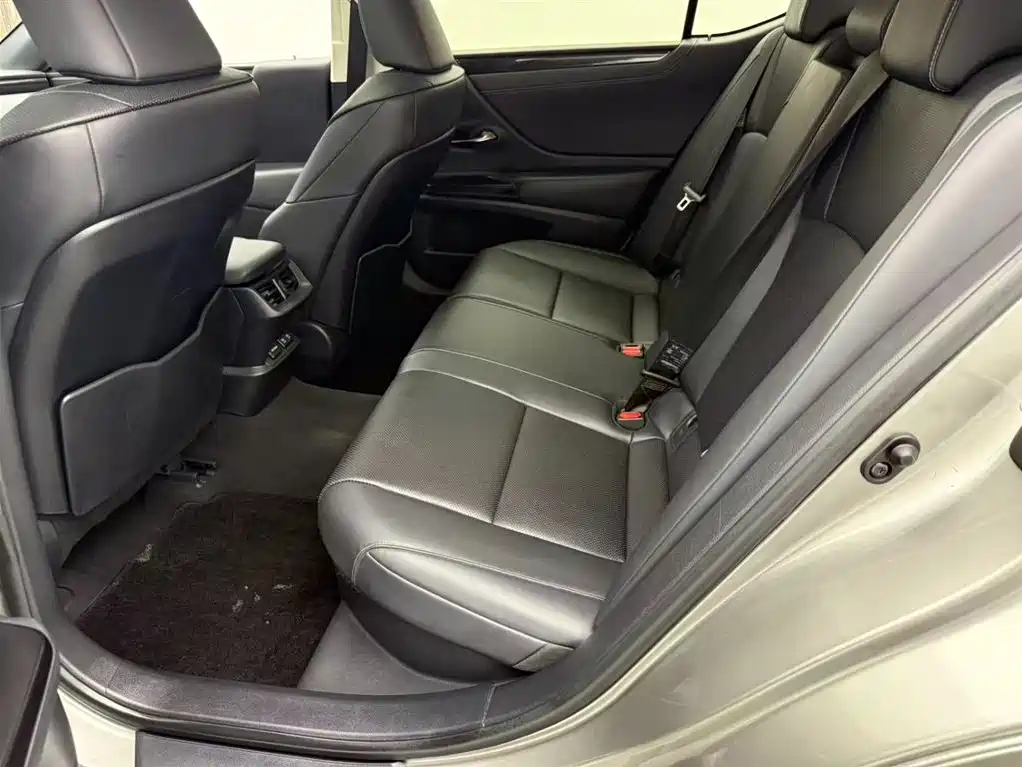 Lexus ES 2020 Model 300h Excellence Edition China V фото 10