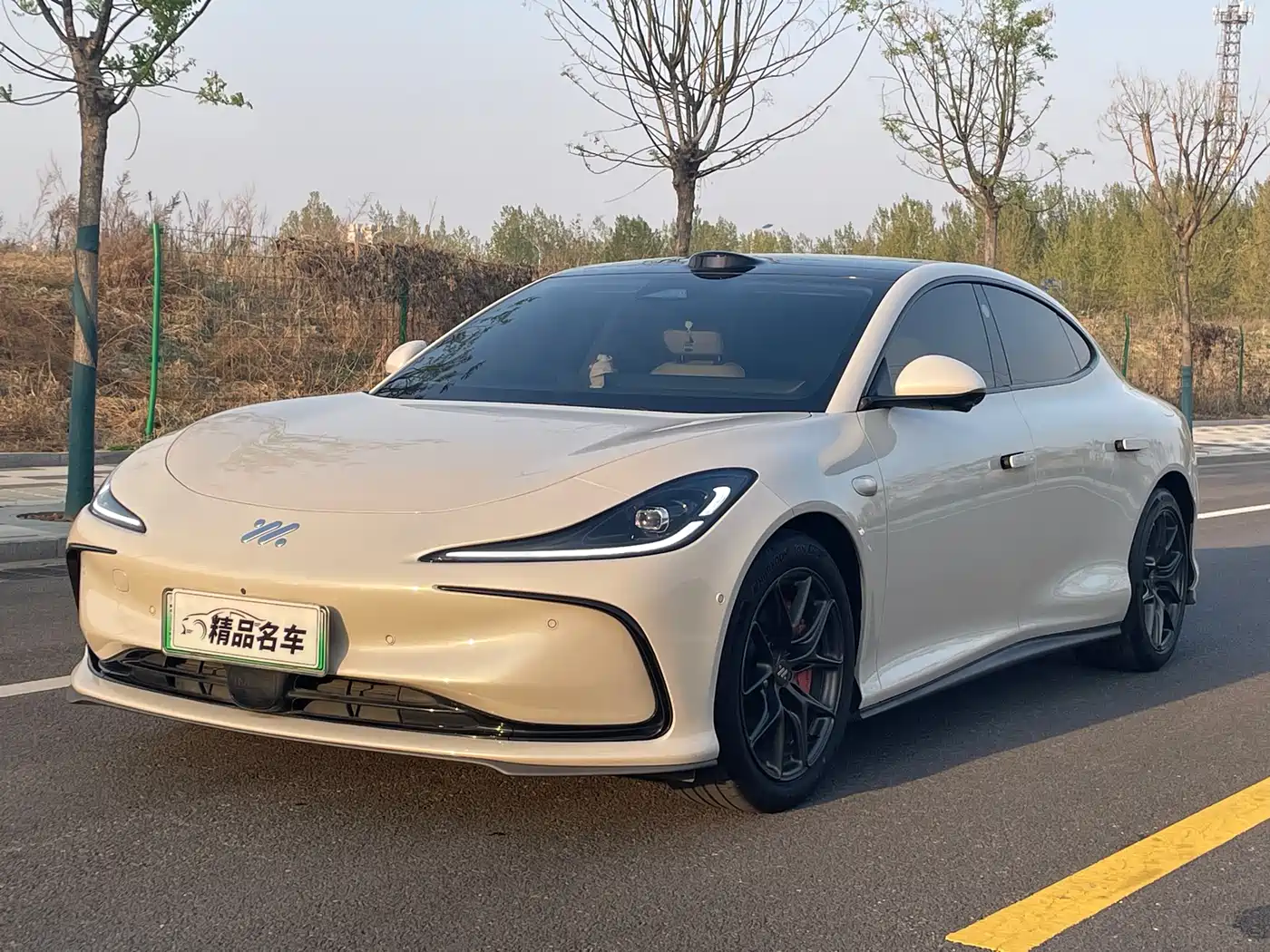 ZHIJI AUTOMOBILE ZHIJI L6