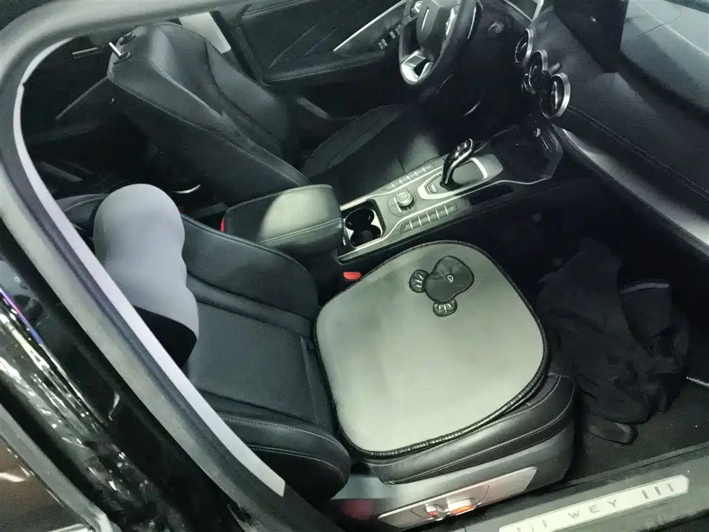 WEY VV6 2021 2021 2.0T 2WD Smart Protection+