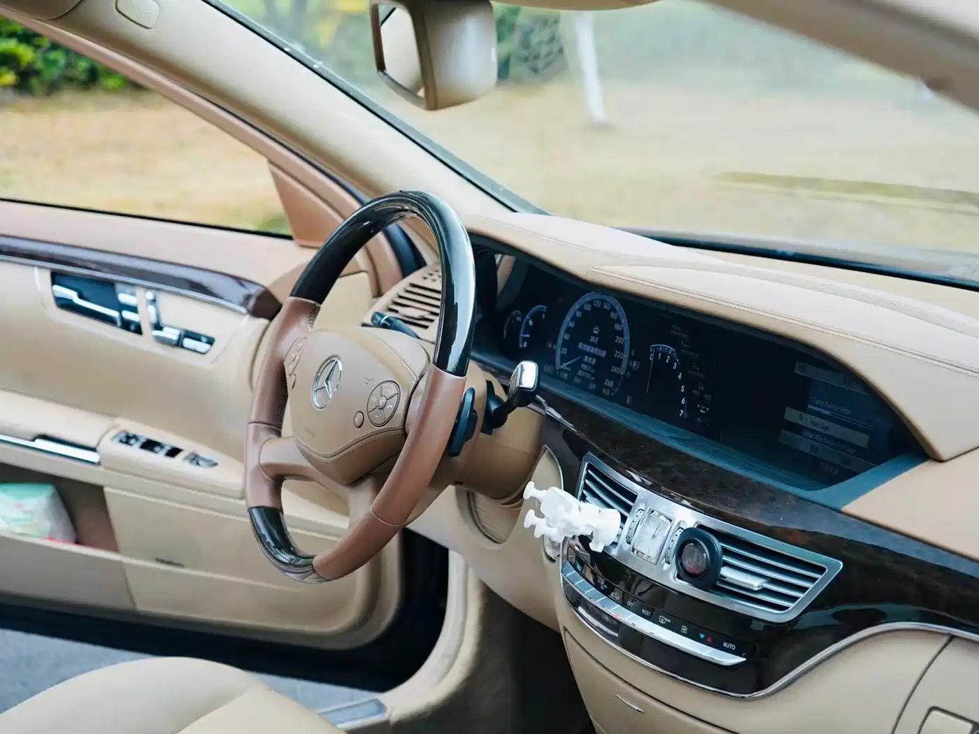 Mercedes-Benz S-Class 2010 S 300 L Premium фото 16