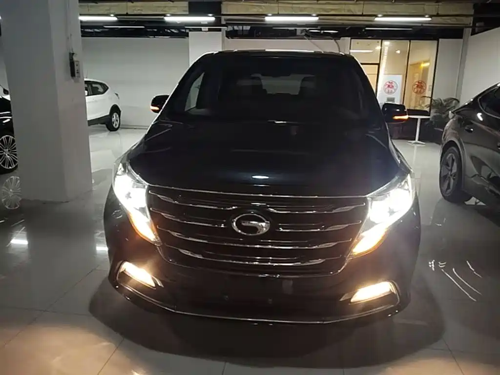 GAC Trumpchi Trumpchi M8 2018 320T Premium Edition фото 3