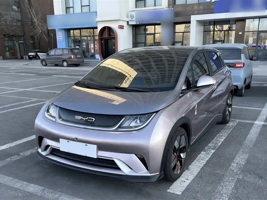 BYD Dolphin 2023 401km Knight Edition