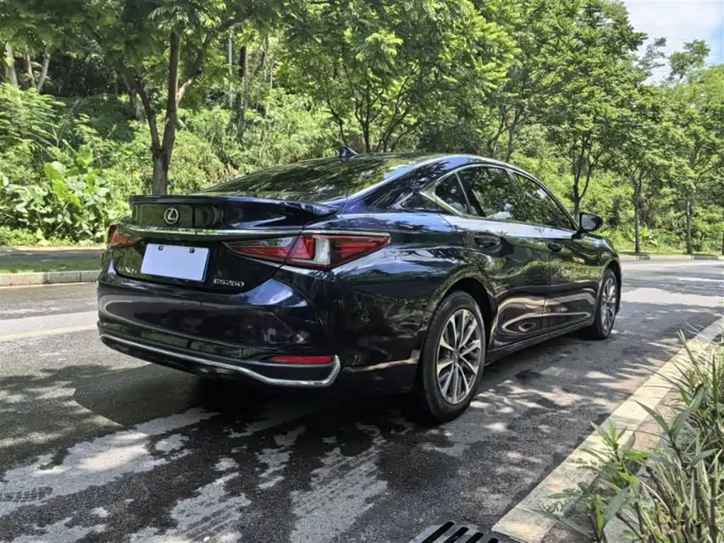 Lexus ES 2023 200 Excellence Edition фото 8