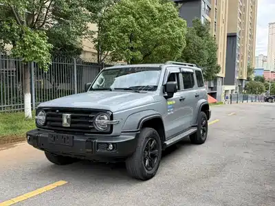 Tank 300