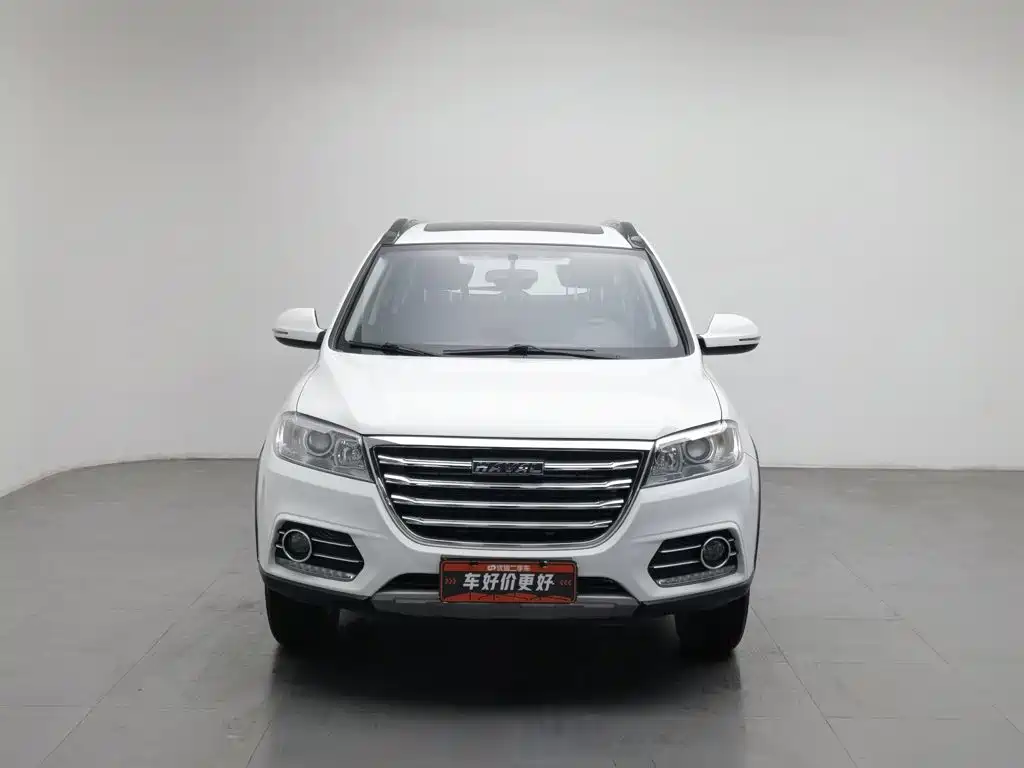 صورة 3 - Haval H6