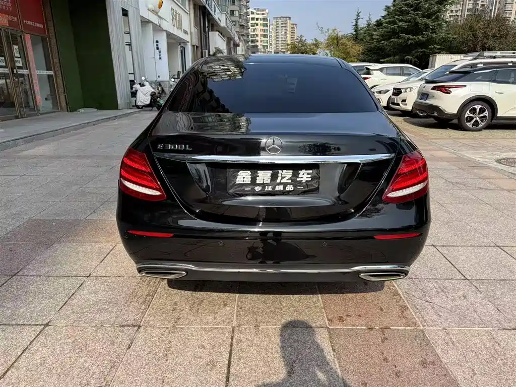 Mercedes-Benz E-Class 2018 E 300 L Luxury фото 5