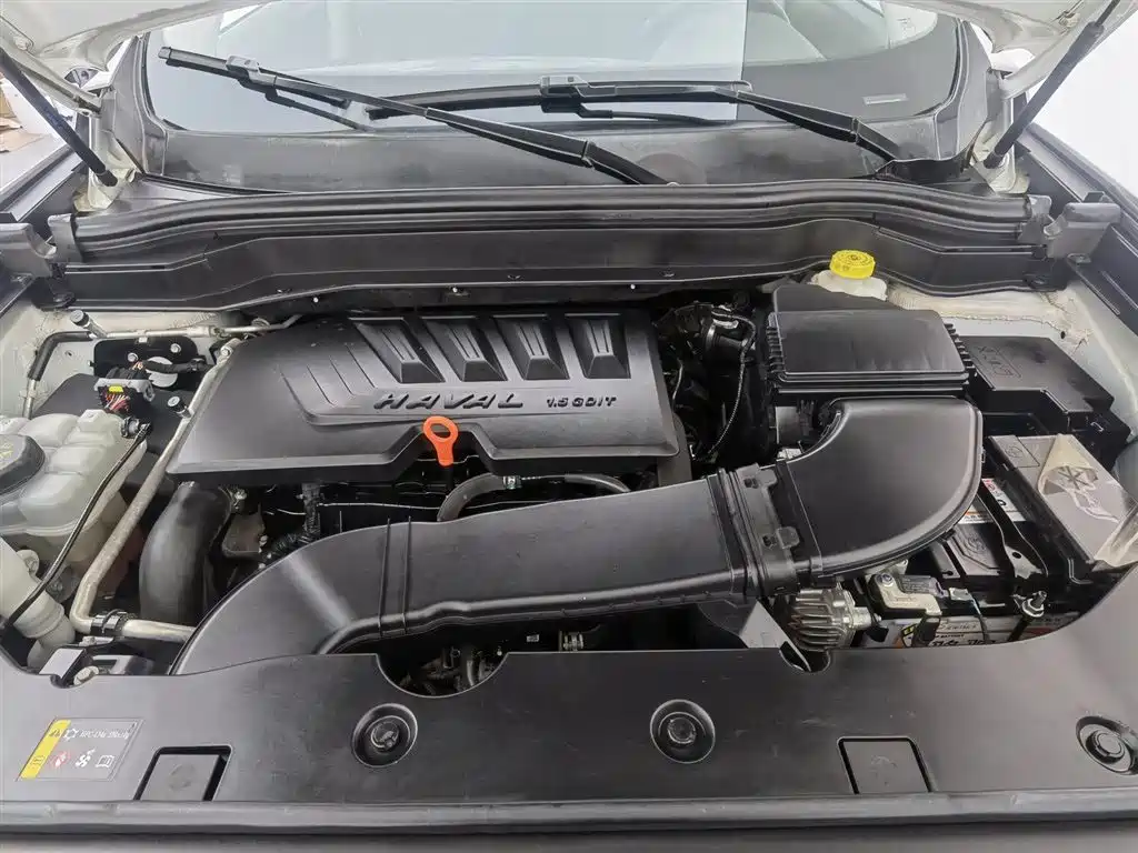 Haval H6 2021 1.5GDIT Automatic Luxury Edition фото 6