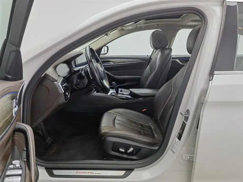BMW 5 Series 2020 530Li Leading Luxury Package фото 10