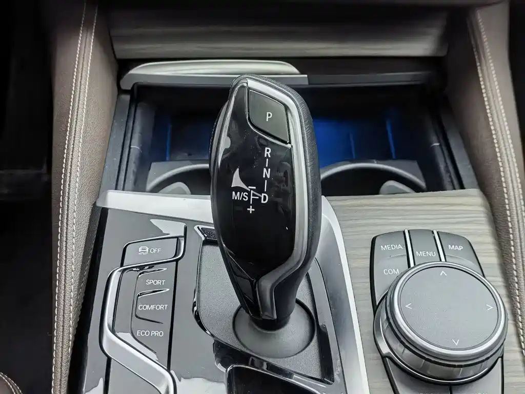 BMW 5 Series 2020 530Li Leading Luxury Package фото 13