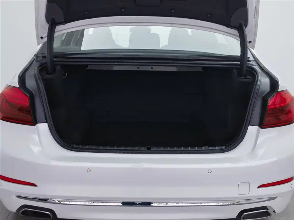 BMW 5 Series 2020 530Li Leading Luxury Package фото 16