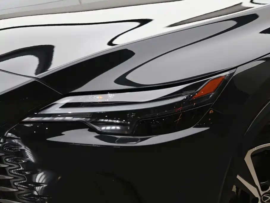Фото 24 - Lexus RX
