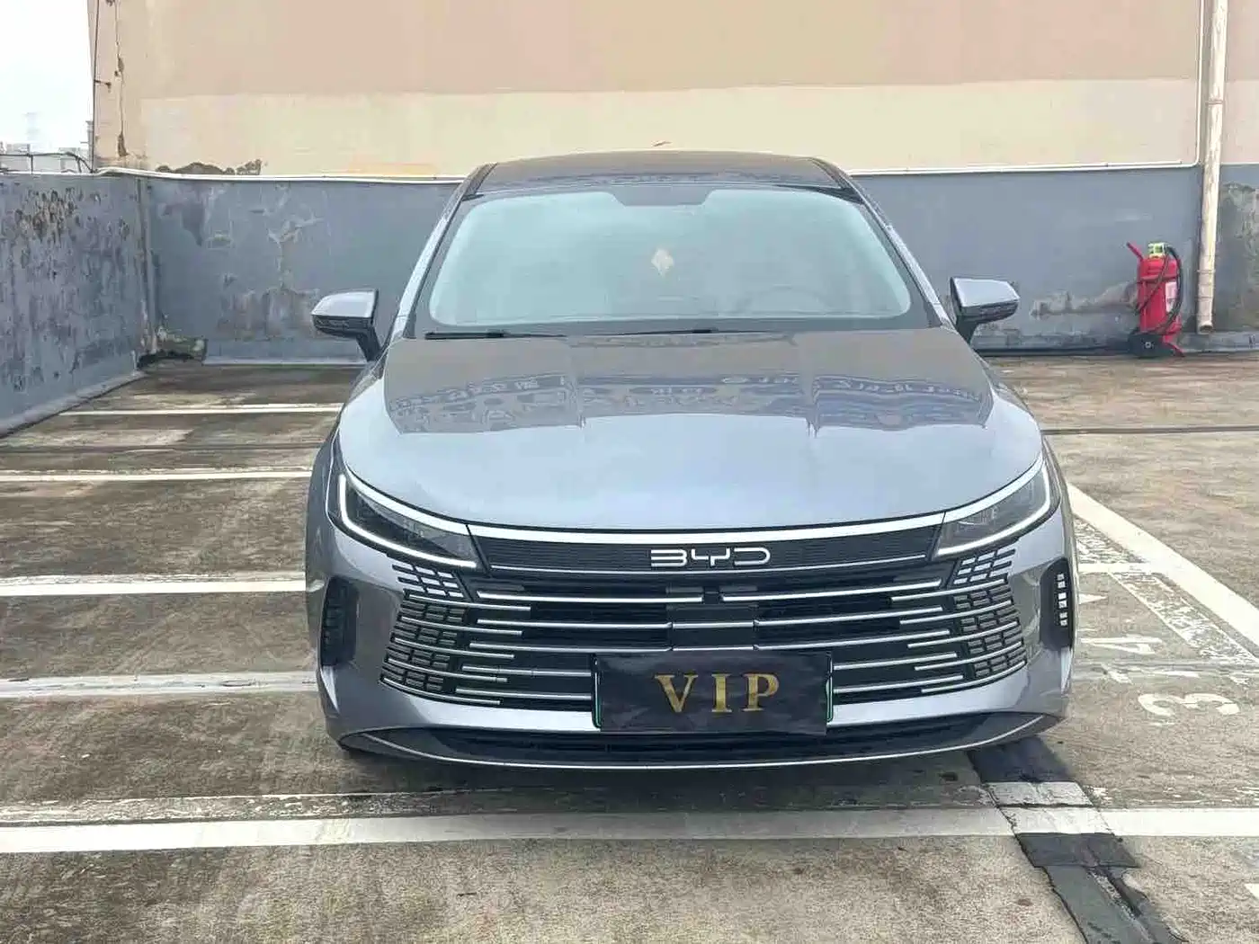 BYD Destroyer 05 2024 Glory Edition DM-i 55KM Luxury фото 2