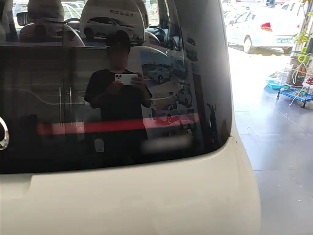 Ora White Cat 2021 2020 305km Luxury