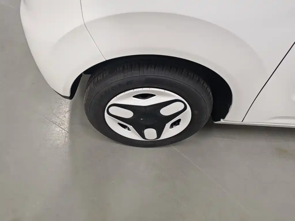 Geely Galaxy Panda 2026 2025 Panda mini 210km Vitality Bear