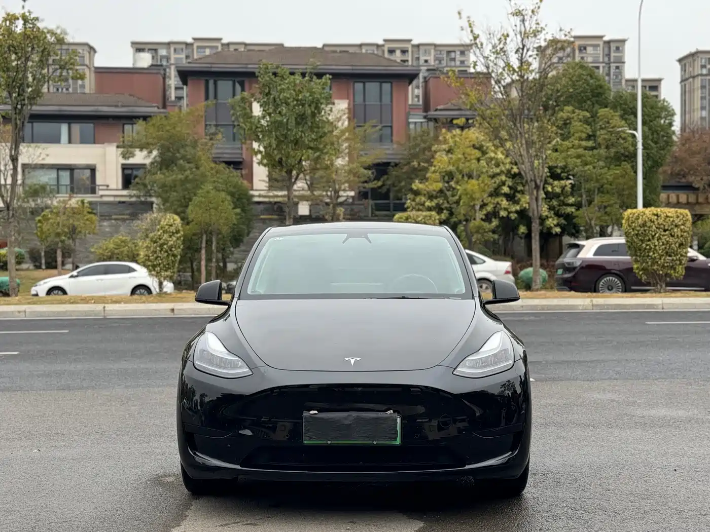 TESLA MODEL Y