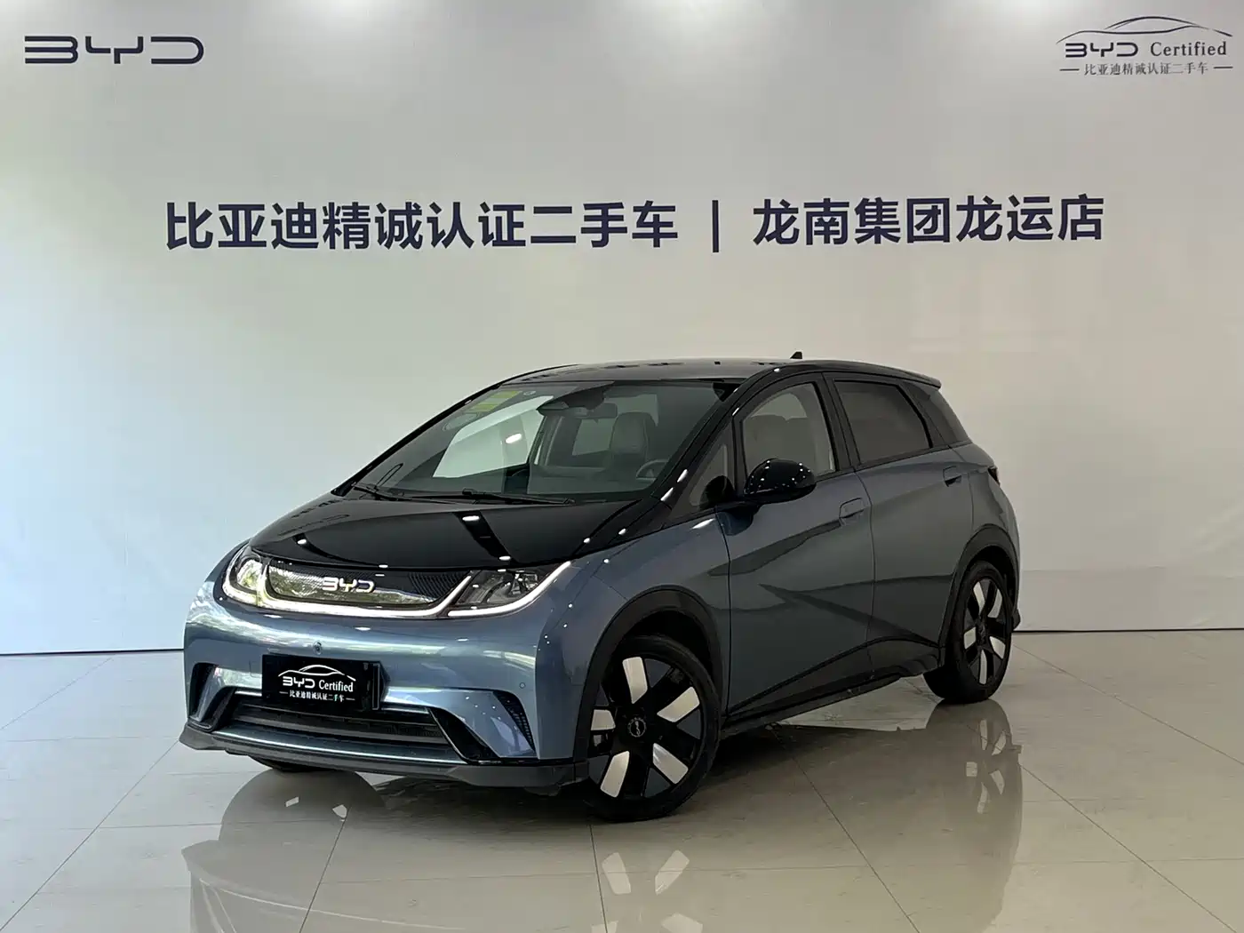 BYD Dolphin 2024 Glory Edition 401km Knight Edition