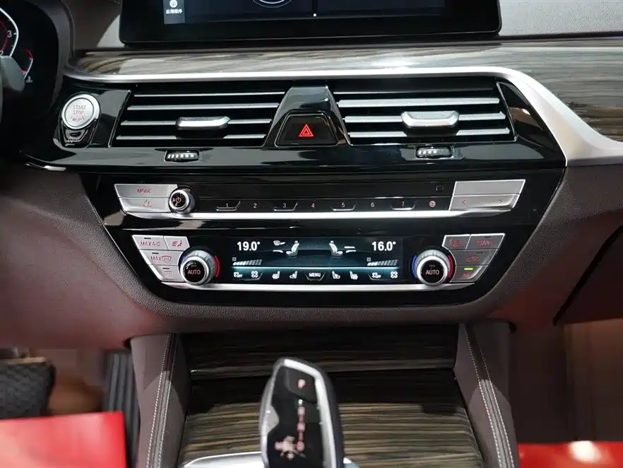 BMW 5 Series 2020 530Li Premium Luxury Package фото 11