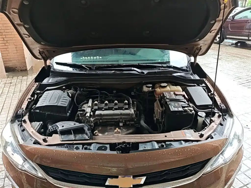 Chevrolet Cavalier 2019 320 Auto Sunroof Enjoyment Edition фото 20