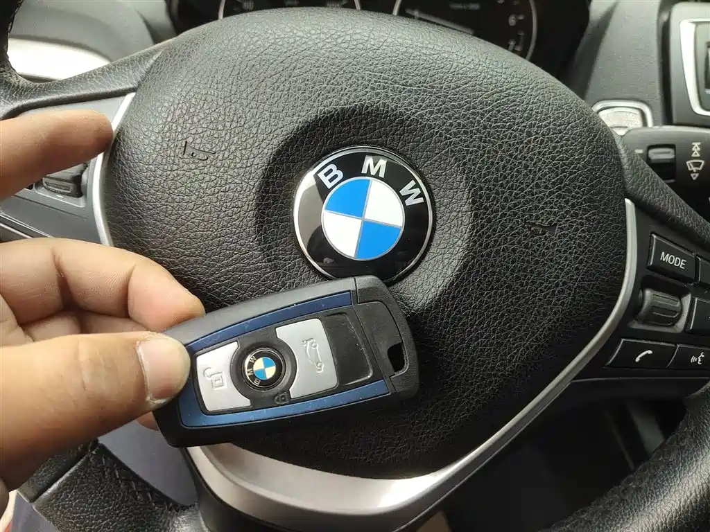 BMW 2 Series (Import) 2014 220i Leading фото 9