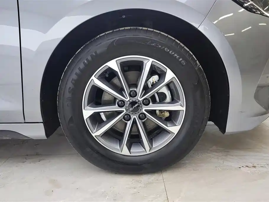 BYD Destroyer 05 2024 Glory Edition DM-i 55KM Luxury фото 6