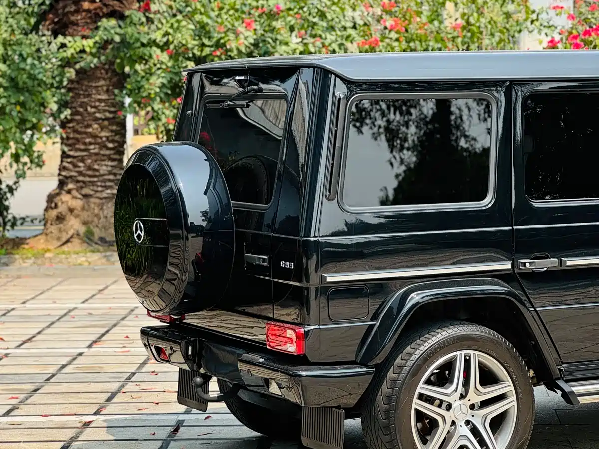 Mercedes-Benz G-Class AMG 2013 AMG G 63 фото 13