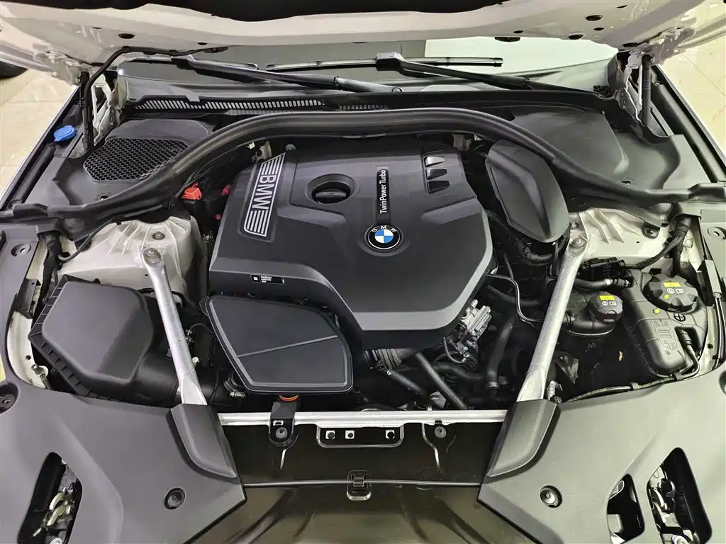 BMW 5 Series 2019 530Li Leading Luxury Package фото 16