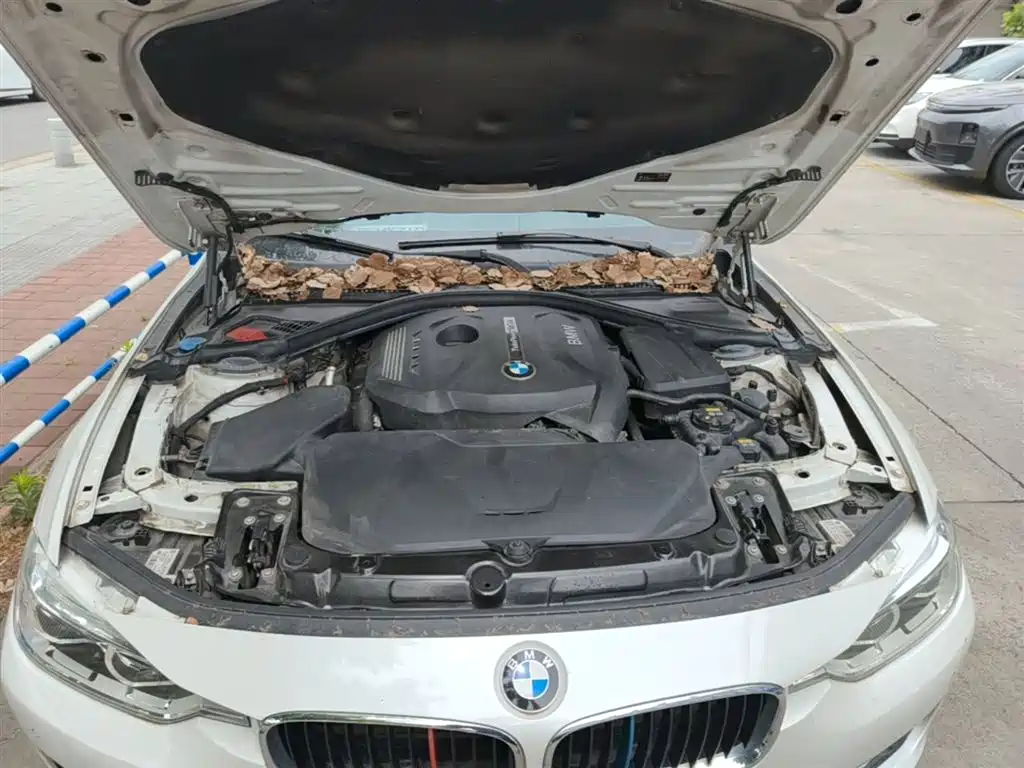 BMW 3 Series 2017 320Li Fashion фото 20