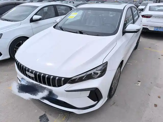 GEELY AUTOMOBILE BINRUI