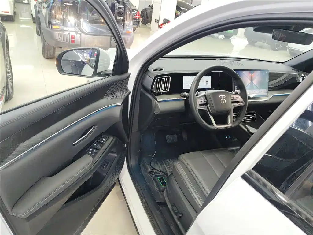 BYD Song Pro New Energy 2025 2nd Generation Smart Drive Edition DM-i 115KM Surpassing Type фото 12