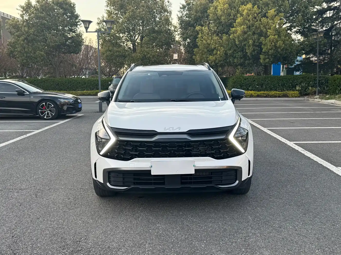 KIA LION PLATINUM EXPANDS THE WORLD