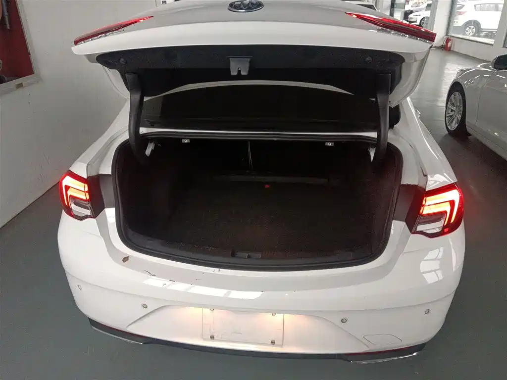 Buick Regal 2020 552T Elite фото 19