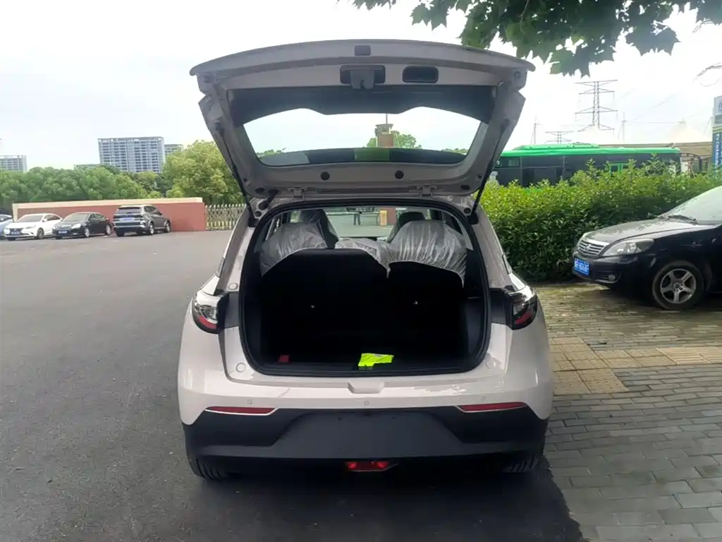 Geely Galaxy Starry Wish 2026 Edition 310km Youth Version фото 19