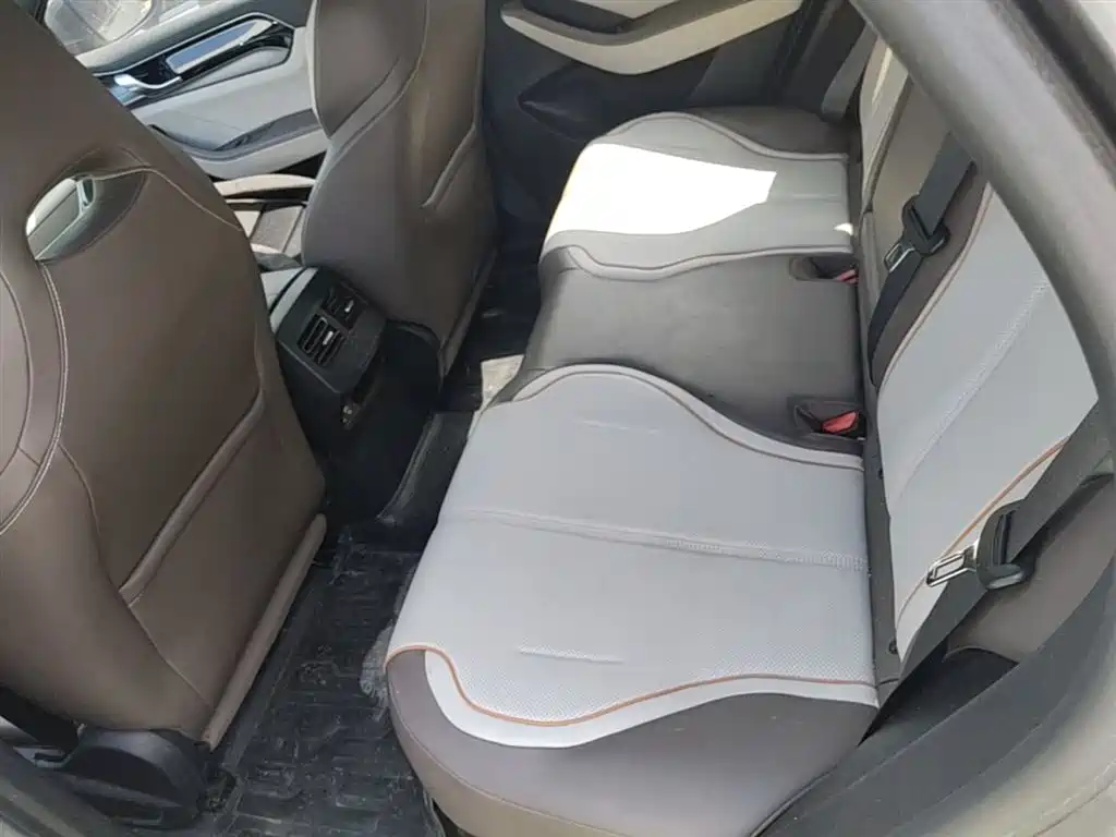 BYD Qin PLUS 2023 Champion Edition DM-i 120KM Excellence фото 16