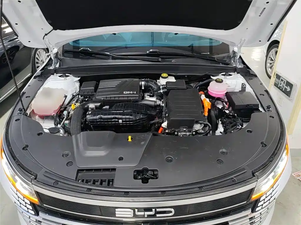 BYD Destroyer 05 2023 Model Champion Edition DM-i 120KM Luxury фото 16
