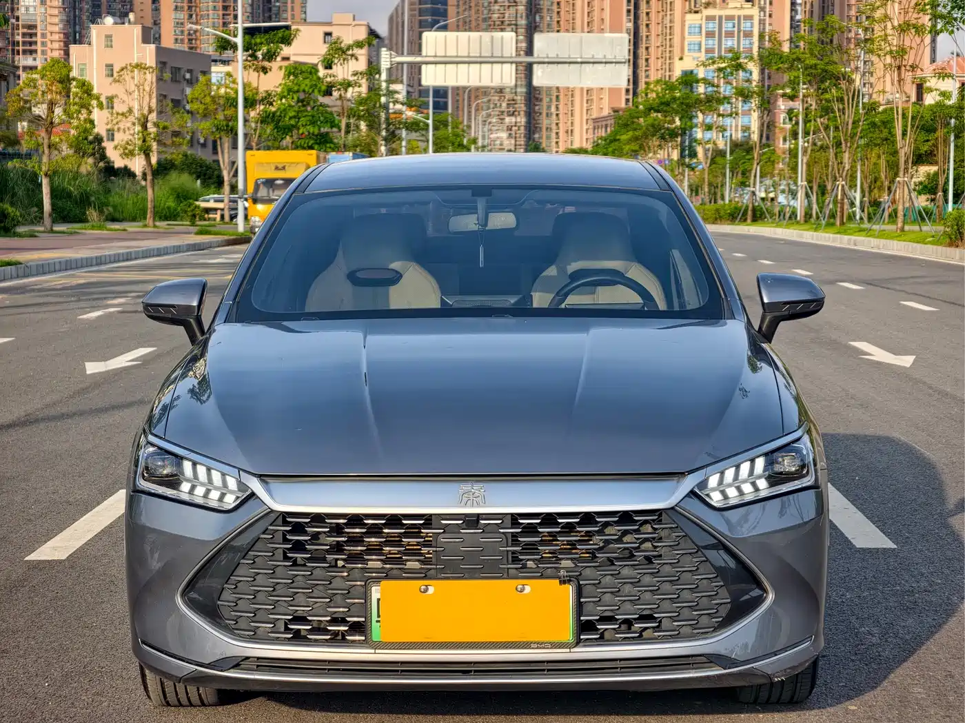 BYD Qin PLUS 2024 Glory Edition DM-i 55KM Leading фото 2