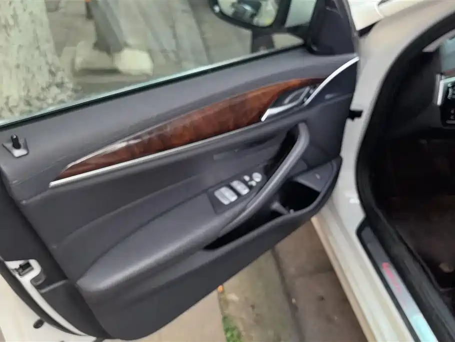 BMW 5 Series 2018 525Li Luxury Package фото 7