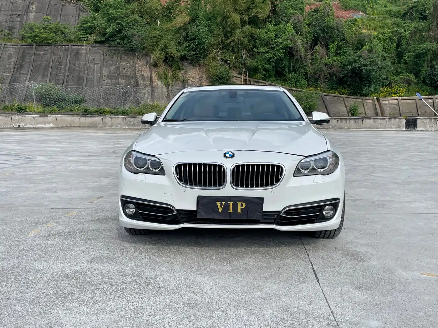 BMW 5 Series 2013 525Li Luxury фото 2