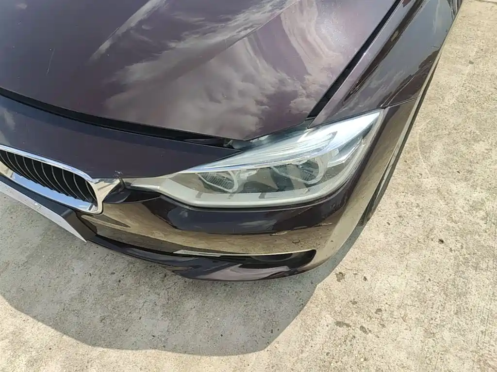 BMW 3 Series 2016 320Li Progressive фото 24