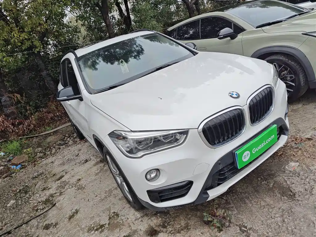 BMW X1 2016 sDrive20Li Luxury Model фото 4