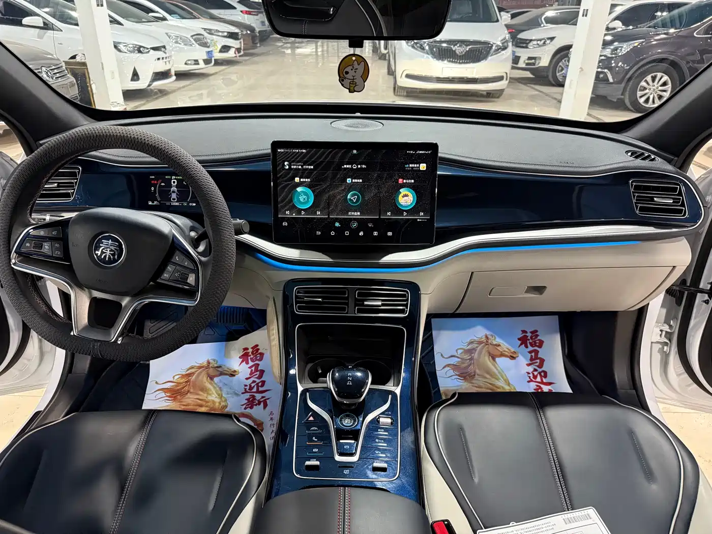 BYD Qin PLUS 2021 EV 500KM Premium Model фото 4
