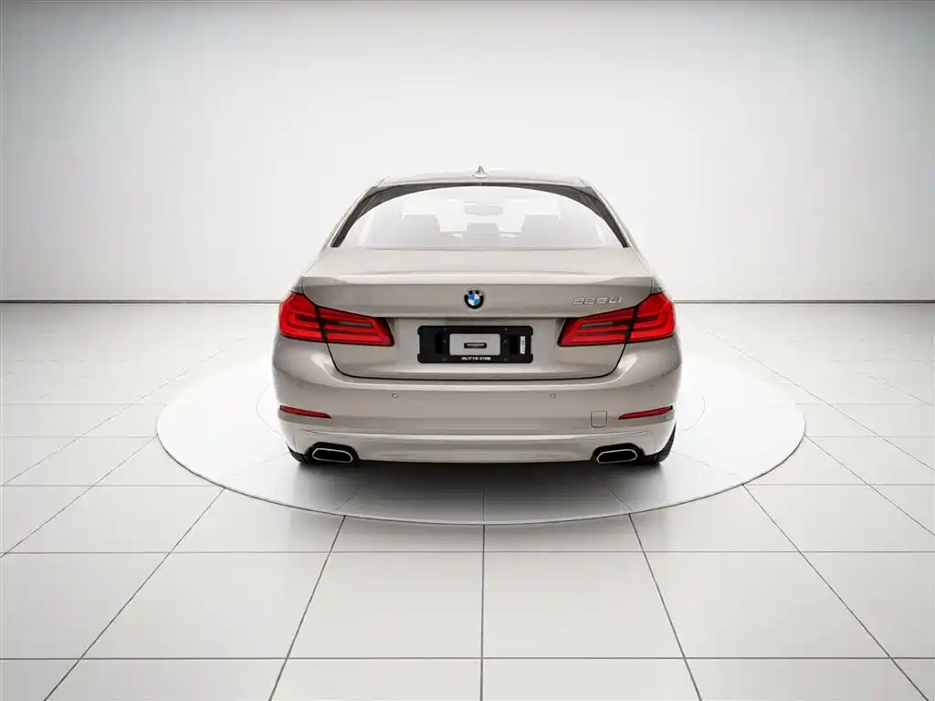BMW 5 Series 2019 525Li Luxury Package фото 4