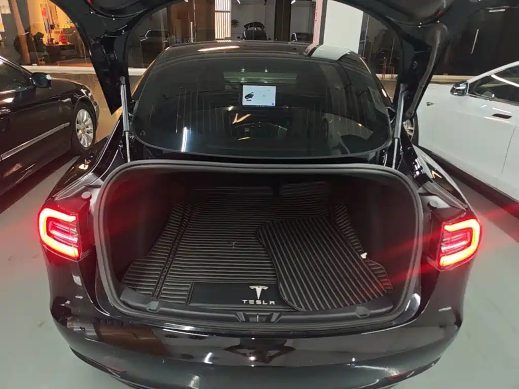Tesla Model 3 2020 2020 Standard Range Rear-Wheel Drive Upgrade